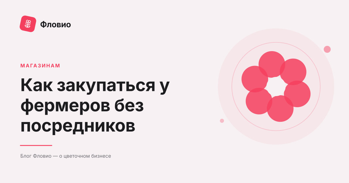 Как закупаться у фермеров без посредников: пошаговый план для магазина